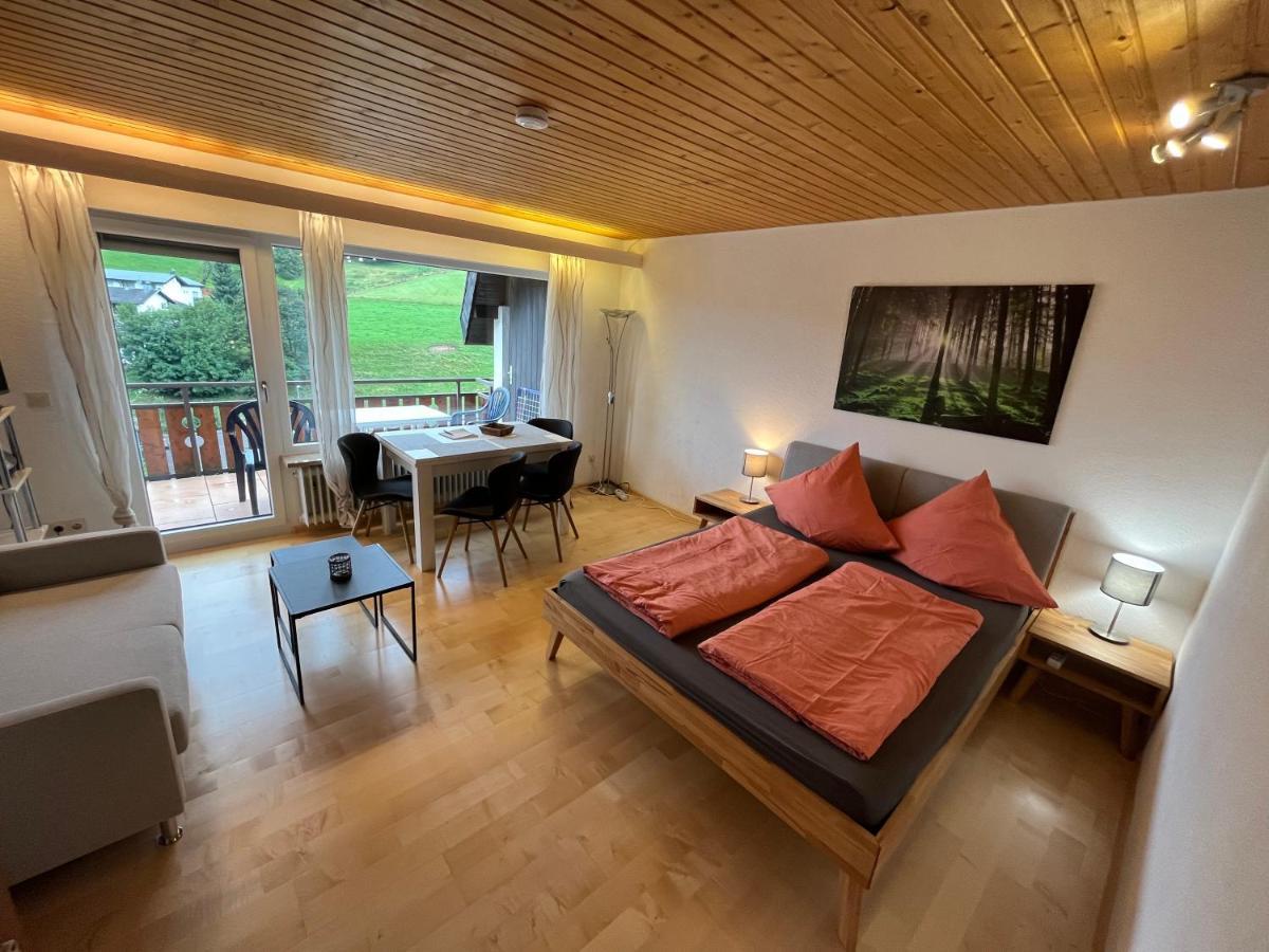 Haus Am Sonnenberg, Todtnauberg, Ferienwohnung 204, Direkt Am Skilift-Skipiste, Naehe Feldberg Extérieur photo